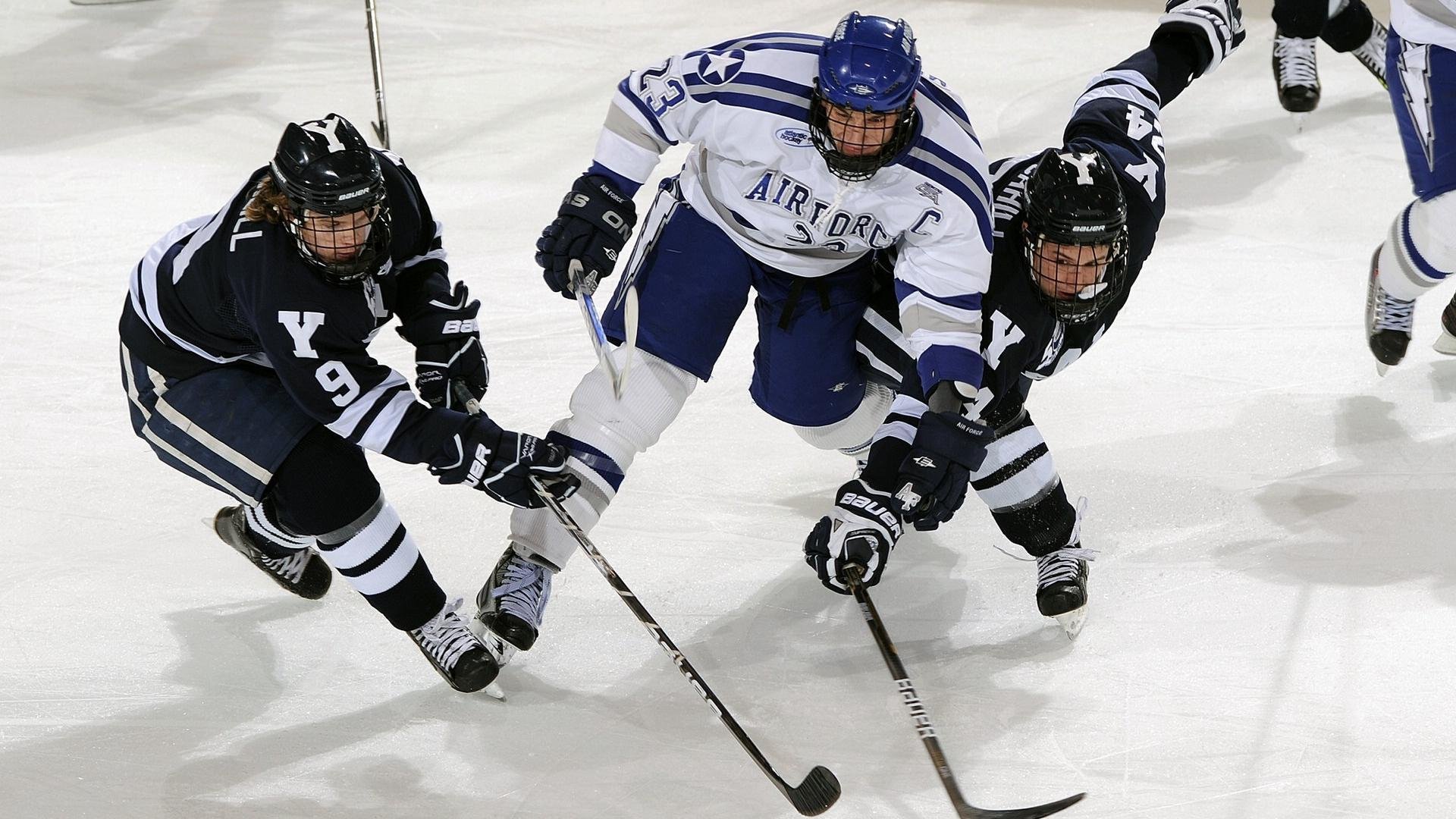 重返赛场首场状态出色，篮网观众沸腾！莱万多夫斯基重返赛场全场沸腾不已